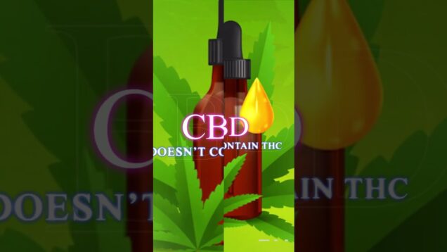 Hemp Life Miami “The Magic of Hemp”