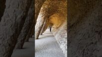 “Un vistazo al Parque Güell 😍🏛️”#barcelona #viajar #guell #viaje #travel #vidamiamitv #salimrubiales