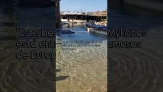 Paraga Beach, Mykonos 🇬🇷Un momento perfecto en el lounge de Santana. ¿Quién más quisiera estar aquí?