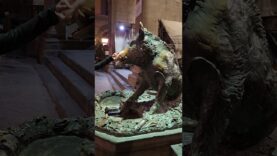 Acaricié el jabalí de Florencia y pedí un deseo 🐗🍀 ¿Será verdad?