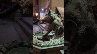 Acaricié el jabalí de Florencia y pedí un deseo 🐗🍀 ¿Será verdad?